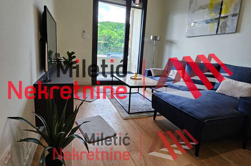 Stan u Vrnjačkoj Banji #28