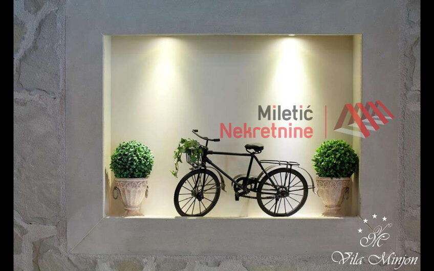 Vila u Vrnjačkoj Banji #77