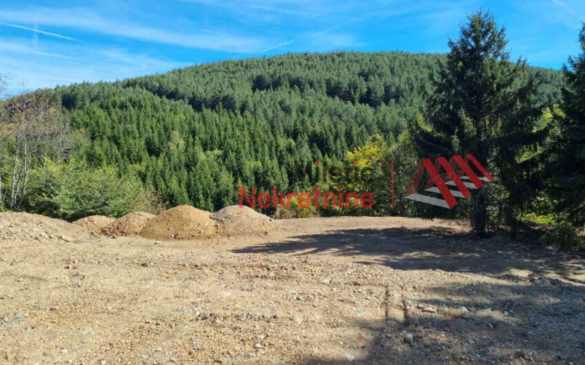 Placevi na planini Goč #24