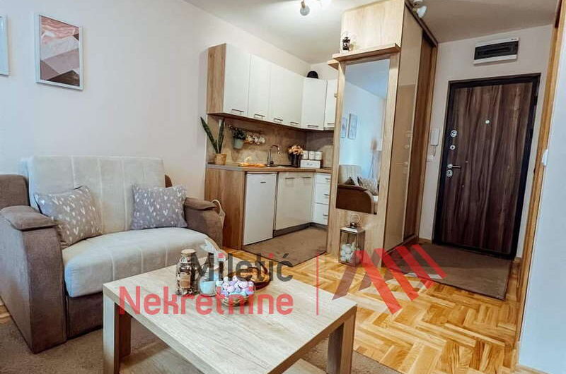 Garsonjera u Vrnjačkoj Banji #54