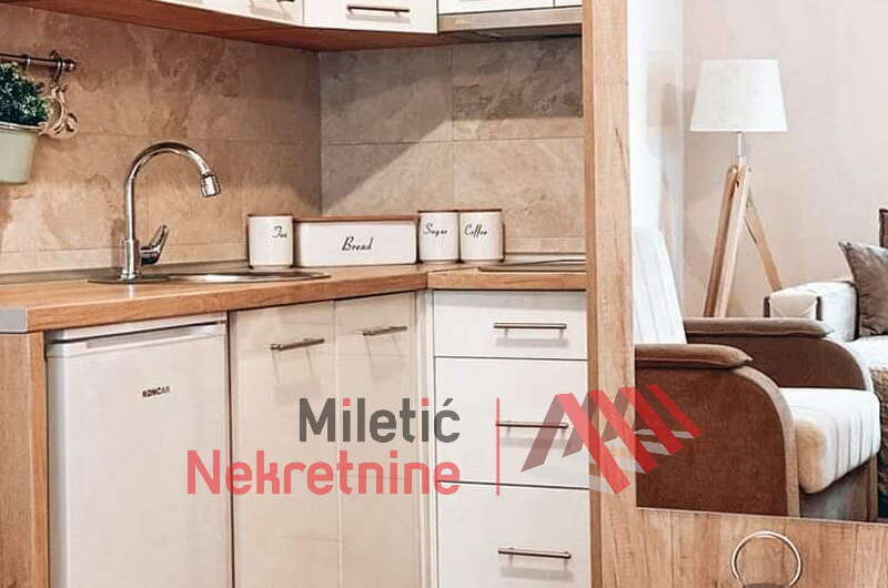 Garsonjera u Vrnjačkoj Banji #54