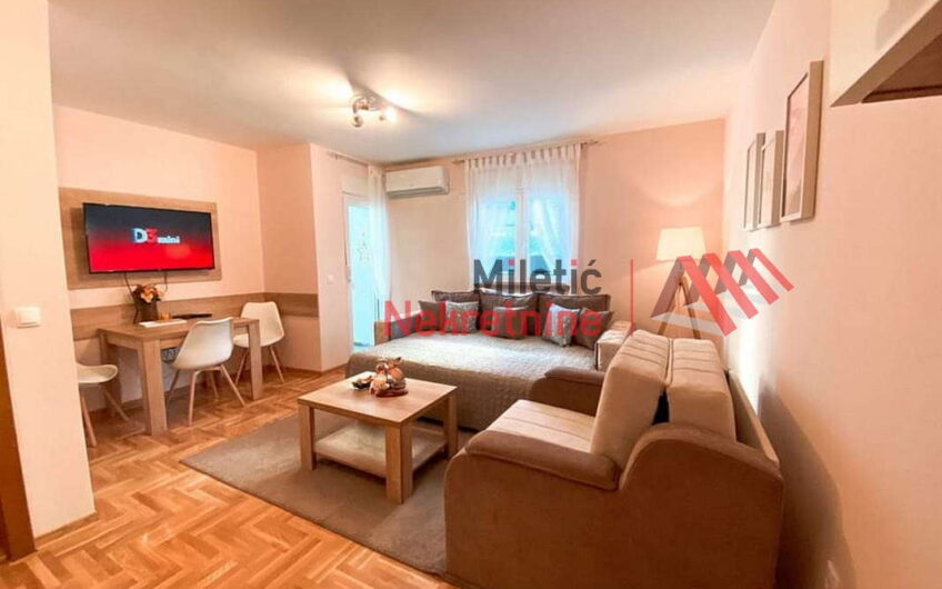 Garsonjera u Vrnjačkoj Banji #54