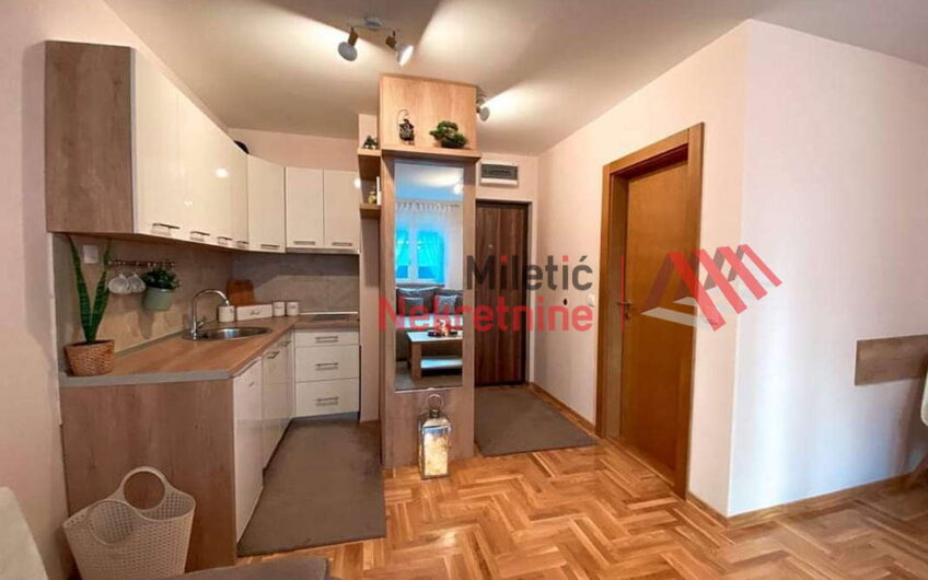 Garsonjera u Vrnjačkoj Banji #54