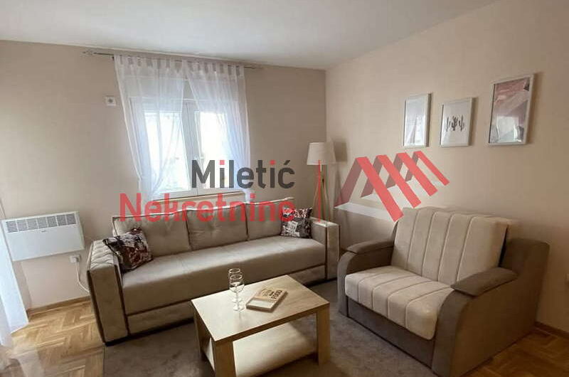 Garsonjera u Vrnjačkoj Banji #54