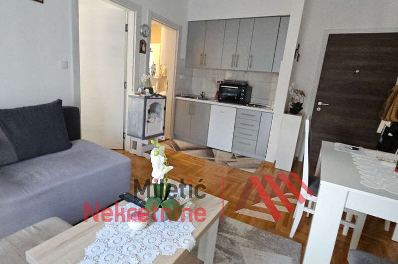 Stan u Vrnjačkoj Banji #95