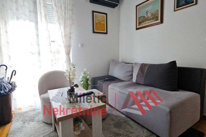 Stan u Vrnjačkoj Banji #95