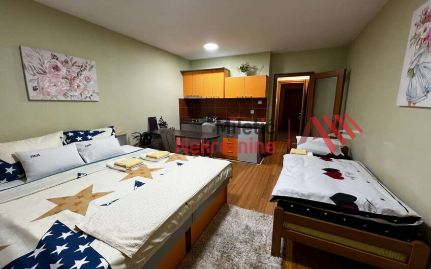 Garsonjera u Vrnjačkoj Banji #44