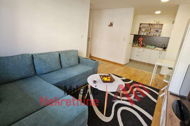 Garsonjera u Vrnjačkoj Banji #45