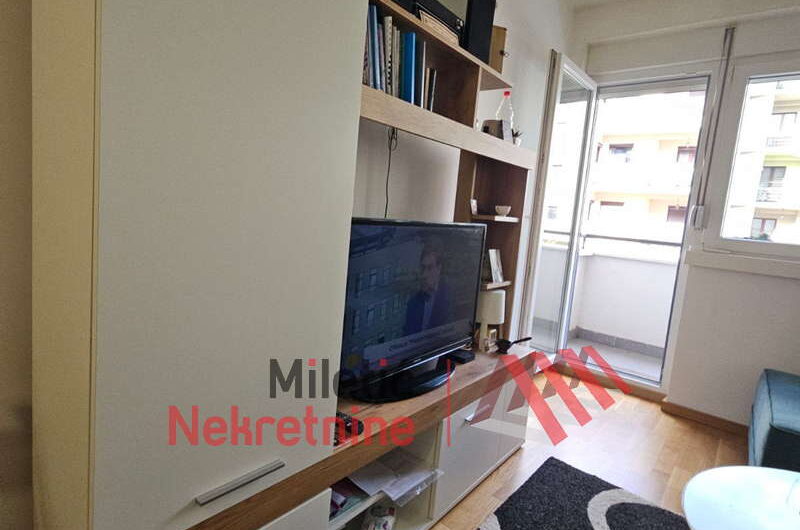 Garsonjera u Vrnjačkoj Banji #45