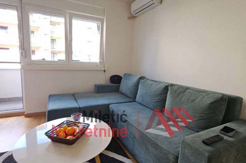 Garsonjera u Vrnjačkoj Banji #45