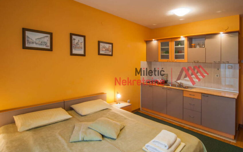 Garsonjera u Vrnjačkoj Banji #67