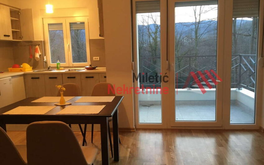 Stan u Vrnjačkoj Banji #42